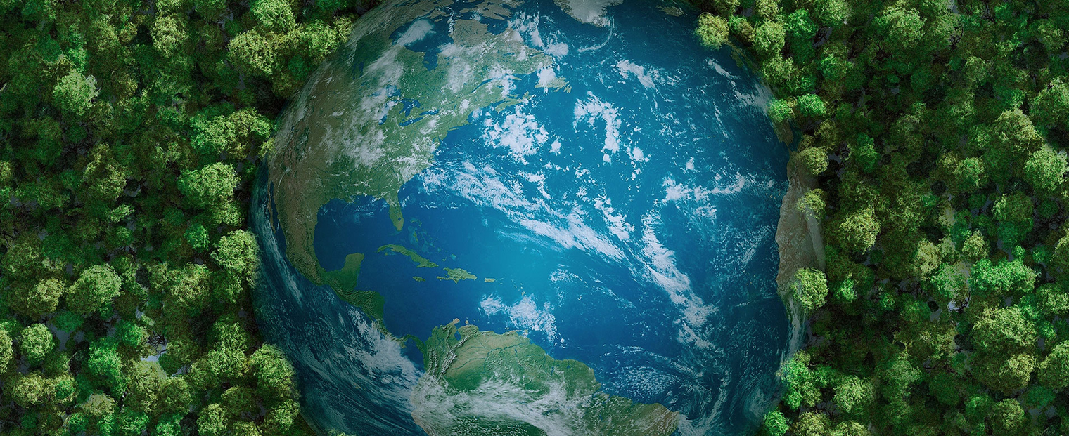 Produits Cie., Ltd de quartz de Yancheng Mingyang.